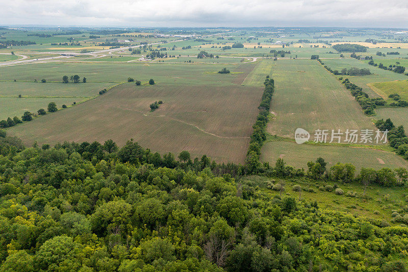 鸟瞰油菜籽田和公路ON-400, Bradford West Gwillimbury，加拿大